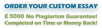 Order your custom plagiarism free English literature essay