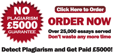 Order your custom plagiarism free English essay